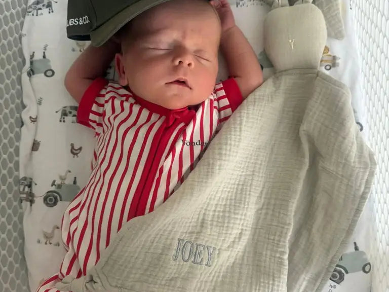 Choosing a Bunny Comforter for Newborns Safely