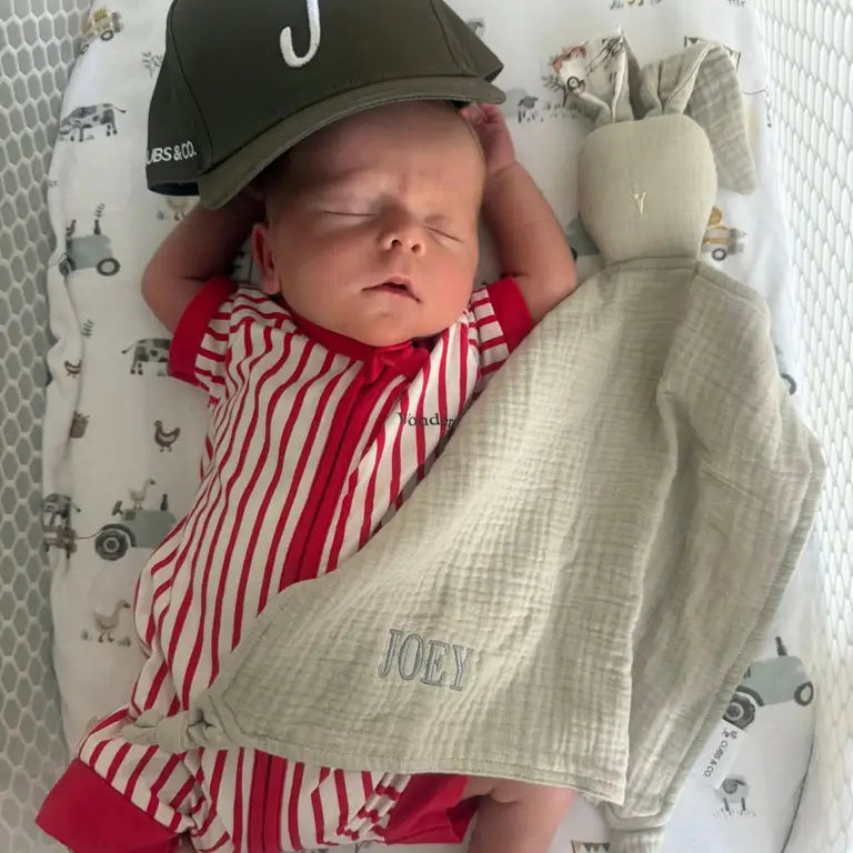 Choosing a Bunny Comforter for Newborns Safely