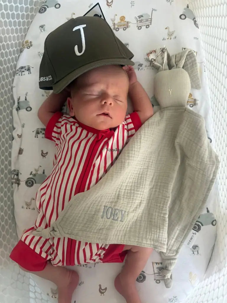 Choosing a Bunny Comforter for Newborns Safely